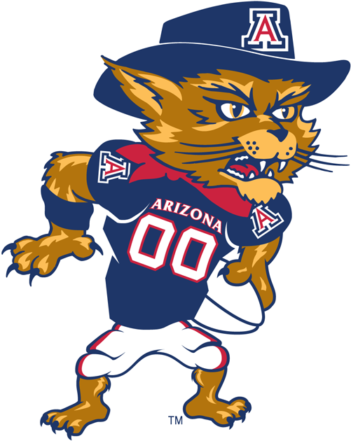 Arizona Wildcats 2003-Pres Mascot Logo v4 iron on transfers for clothing